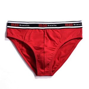 cotton mens underwear briefs  underwear for men male shorts cuecas calzoncillos