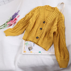 Autumn Winter Women's Knit Cardigan Short Crop Tops Chic Students Loose Solid Color Single-Breasted Sweater Female GD149