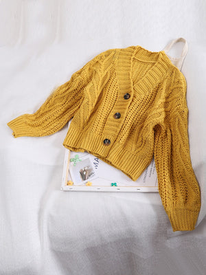 Autumn Winter Women's Knit Cardigan Short Crop Tops Chic Students Loose Solid Color Single-Breasted Sweater Female GD149